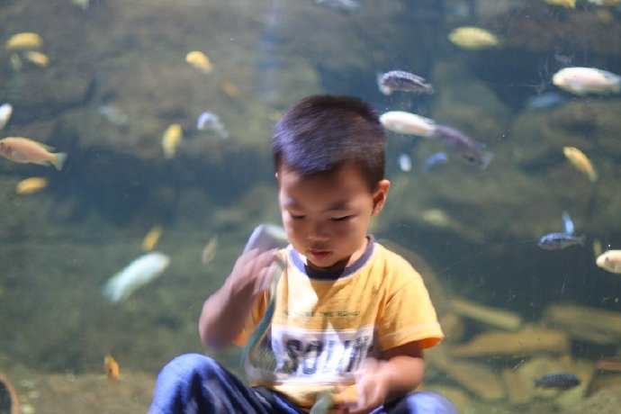 盛夏系列——冰雪地，海洋馆