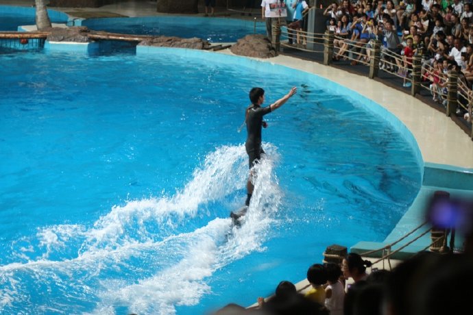 盛夏系列——冰雪地，海洋馆
