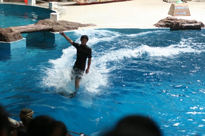 盛夏系列——冰雪地，海洋馆