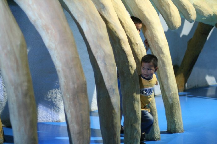 盛夏系列——冰雪地，海洋馆