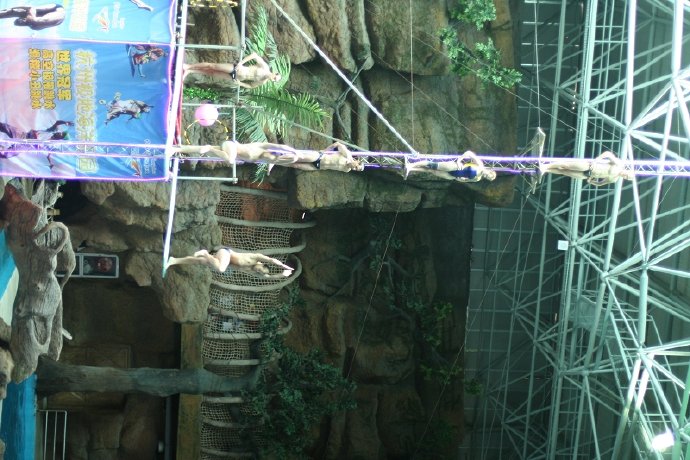 盛夏系列——冰雪地，海洋馆