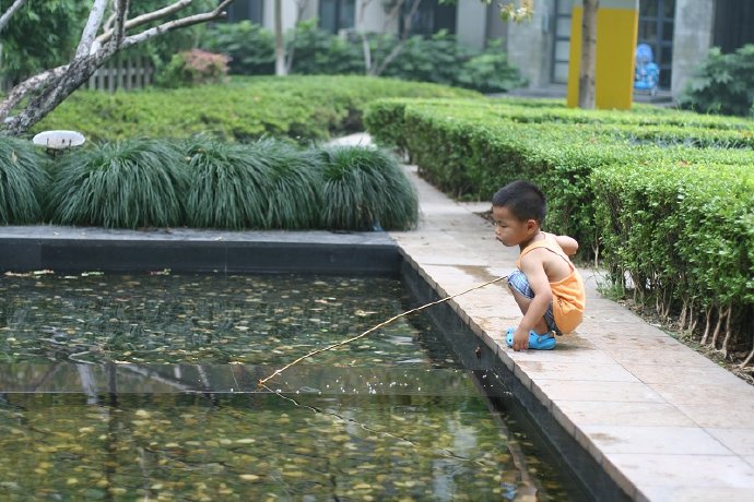 盛夏，水池边的嬉戏