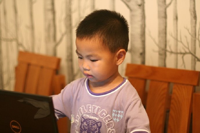 盛夏，水池边的嬉戏