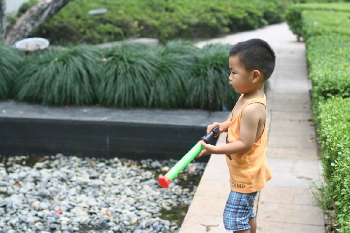 盛夏，水池边的嬉戏