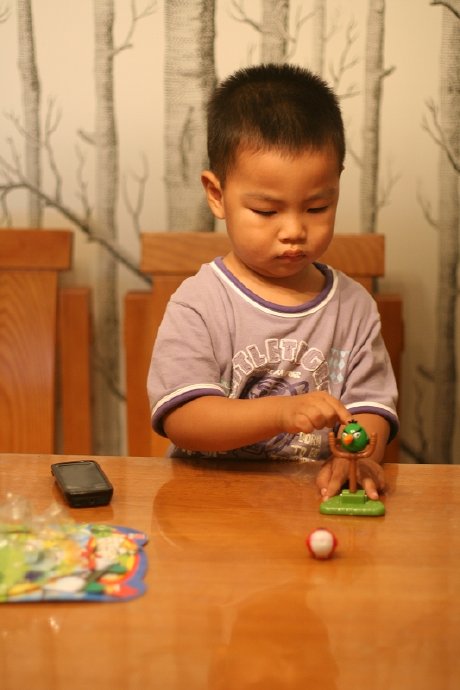 盛夏，水池边的嬉戏