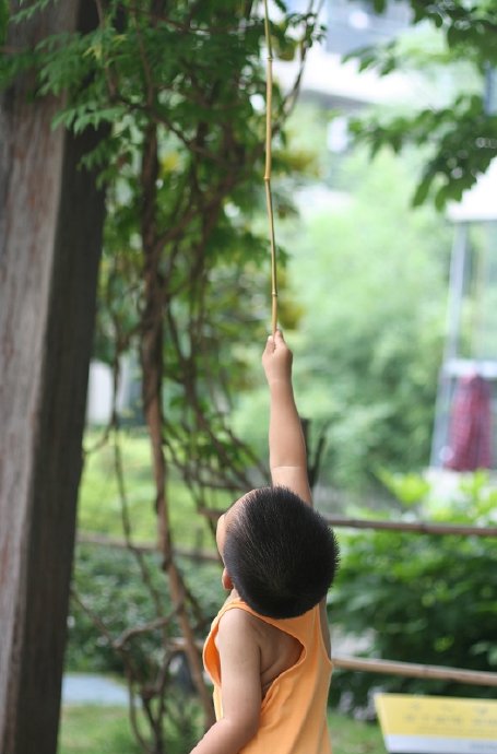 盛夏，水池边的嬉戏