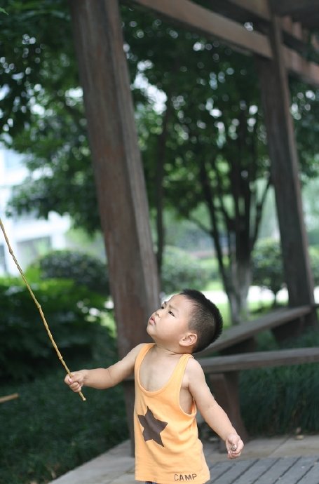 盛夏，水池边的嬉戏