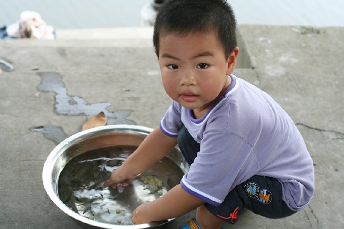 盛夏，阿婆家，小鱼