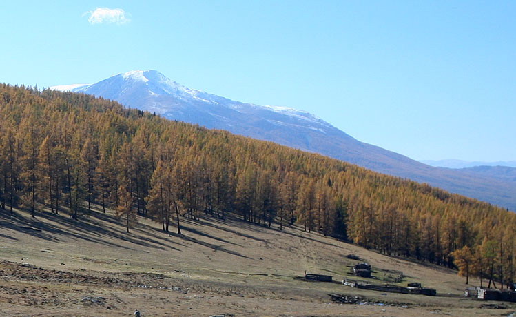 秋日盛宴——新疆旅游日志（五）