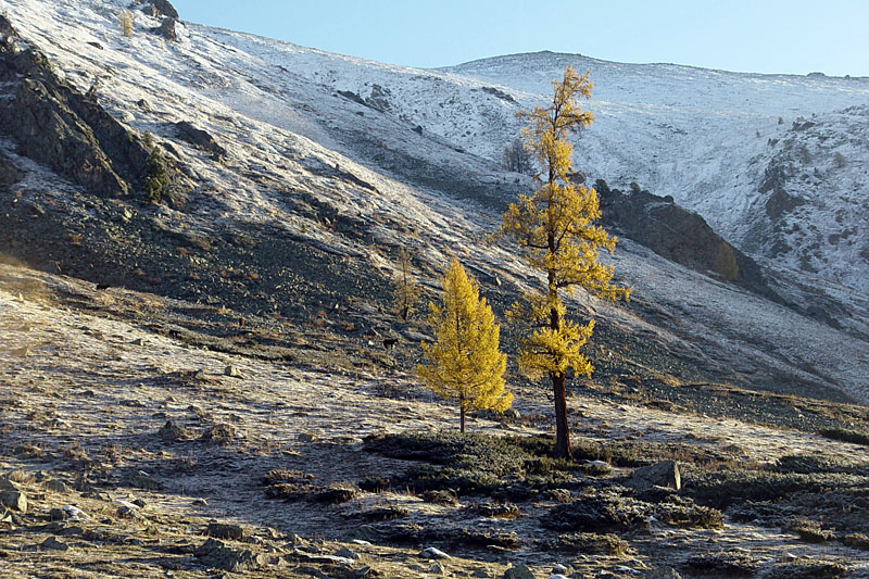 秋日盛宴——新疆旅游日志（五）