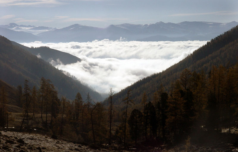 秋日盛宴——新疆旅游日志（五）