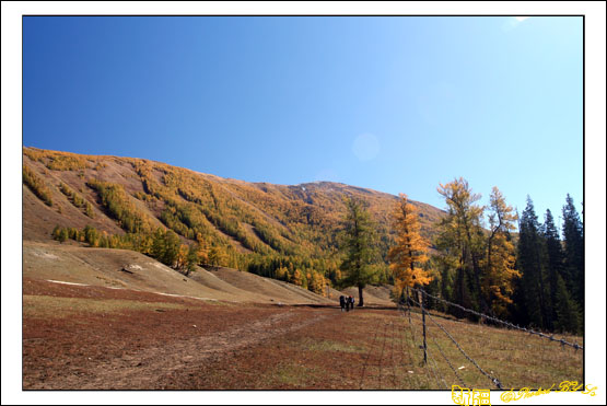 秋日盛宴——新疆旅行日志(七)