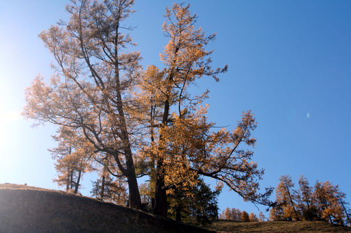 秋日盛宴——新疆旅行日志（三）