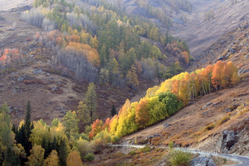 秋日盛宴——新疆旅行日志（三）
