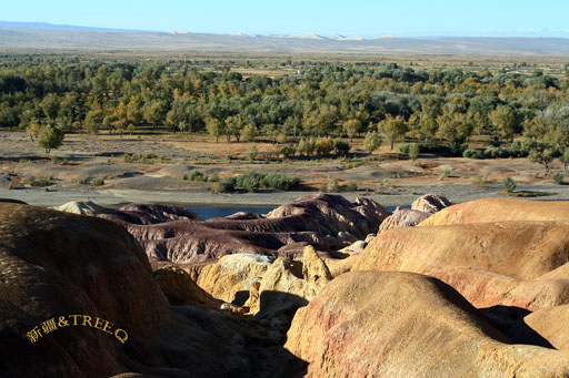 秋日盛宴——新疆旅行日志（三）