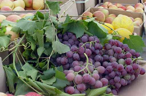 秋日盛宴——新疆旅行日志（九）