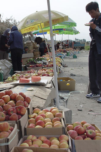 秋日盛宴——新疆旅行日志（九）