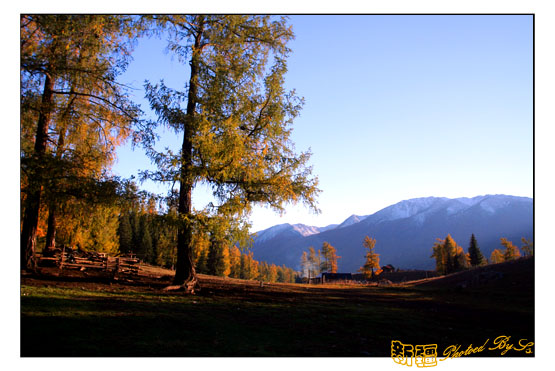 秋日盛宴——新疆旅行日志（六）