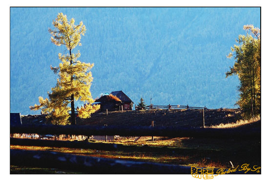 秋日盛宴——新疆旅行日志（六）