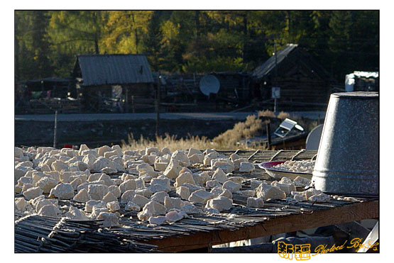 秋日盛宴——新疆旅行日志（六）