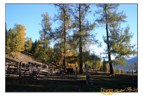 秋日盛宴——新疆旅行日志（六）