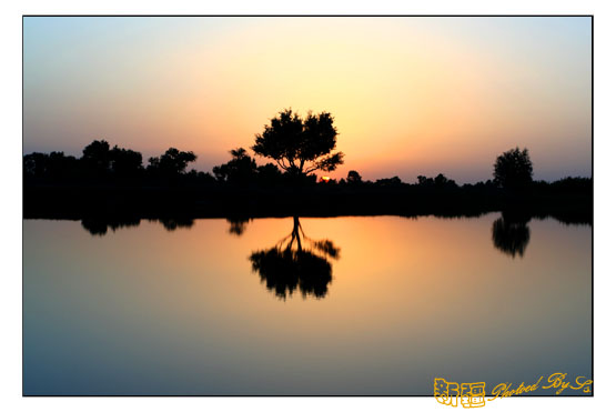 秋日盛宴——新疆旅行日志(十一)