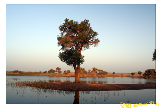 秋日盛宴——新疆旅行日志(十一)