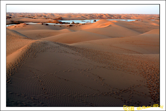 秋日盛宴——新疆旅行日志(十一)