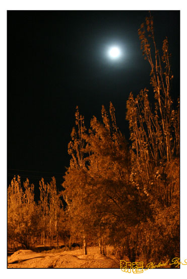 秋日盛宴——新疆旅行日志(十一)