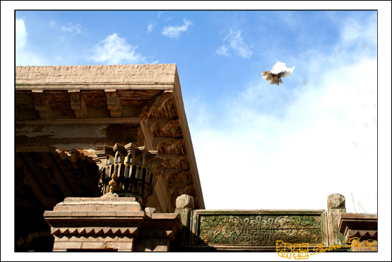 秋日盛宴——新疆旅行日志(十三)