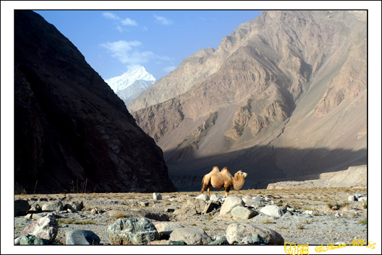 秋日盛宴——新疆旅行日志(十三)