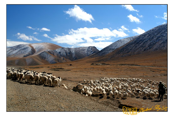 秋日盛宴——新疆旅行日志（十）