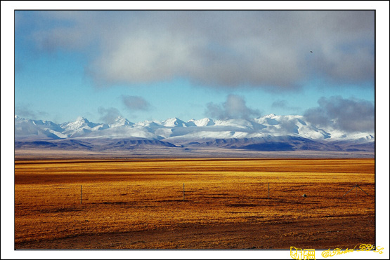 秋日盛宴——新疆旅行日志（十）