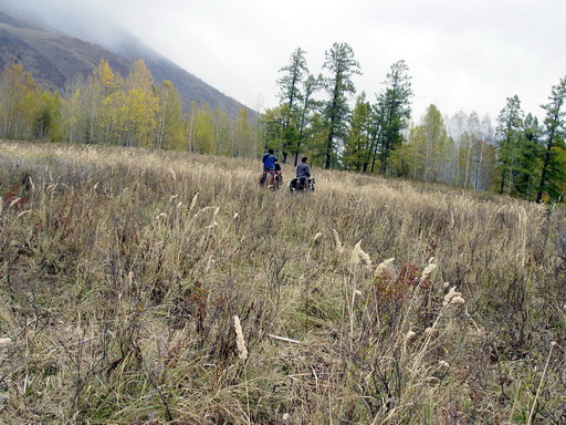 秋日盛宴——新疆旅行日志(四)