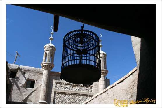 秋日盛宴——新疆旅行日志（完结篇）