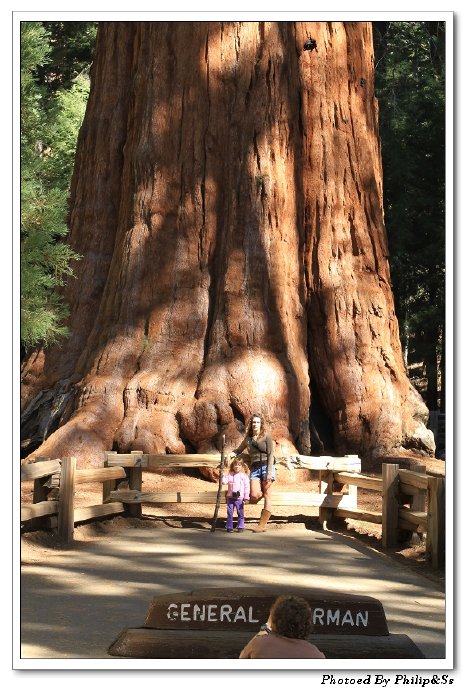 红杉树国家公园Sequoia\u00a0national\u00a0park