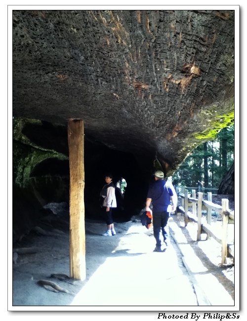 红杉树国家公园Sequoia\u00a0national\u00a0park