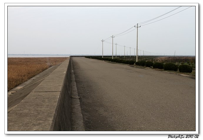 萧山沙地漫游记