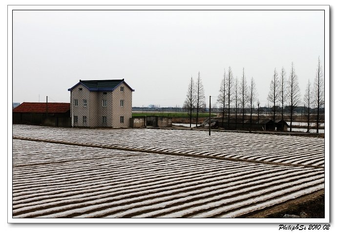 萧山沙地漫游记