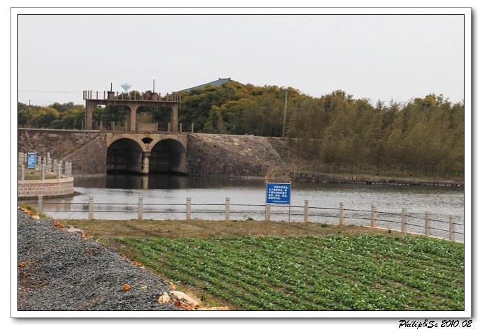 萧山沙地漫游记