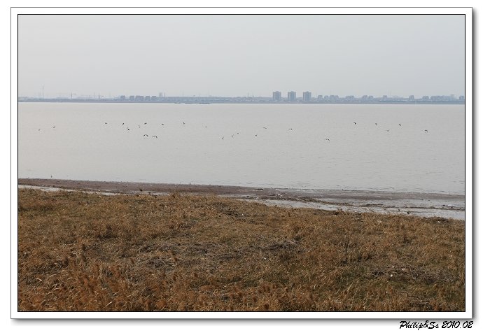 萧山沙地漫游记