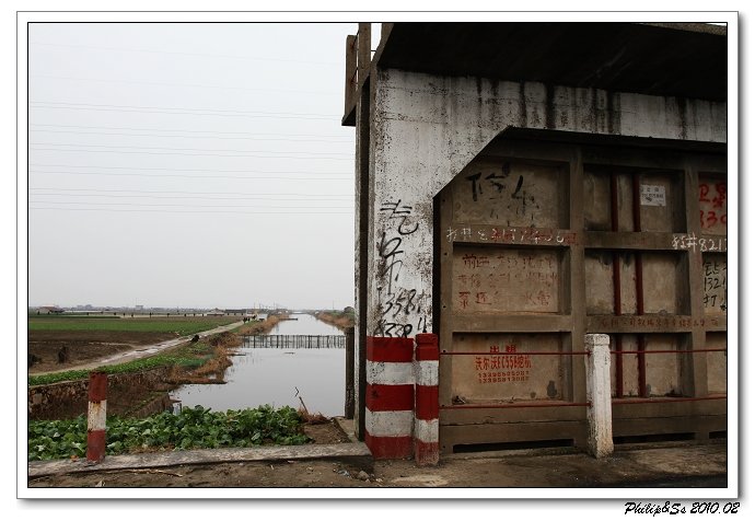 萧山沙地漫游记