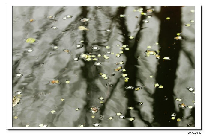 西溪且留下——时隔九年的转变