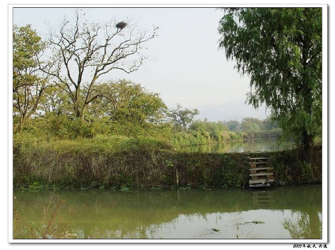 西溪且留下——时隔九年的转变