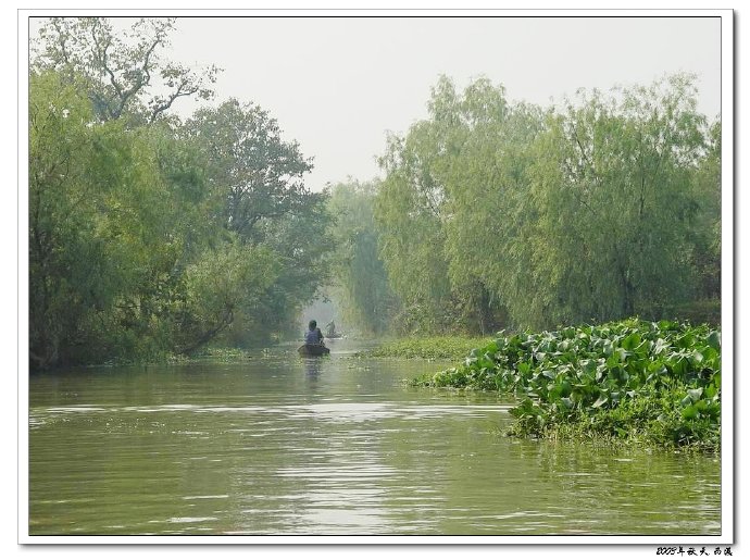 西溪且留下——时隔九年的转变