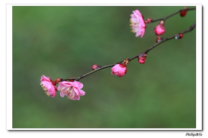 西溪且留下——时隔九年的转变