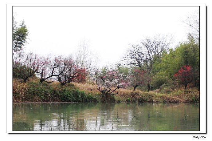 西溪且留下——时隔九年的转变