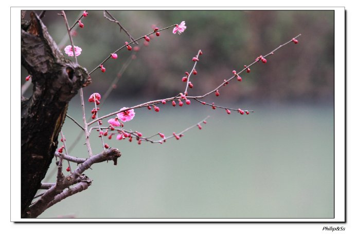 西溪且留下——时隔九年的转变