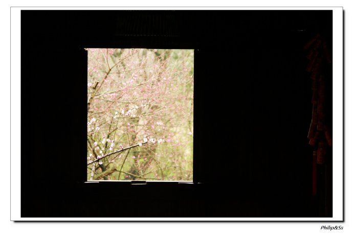 西溪且留下——时隔九年的转变