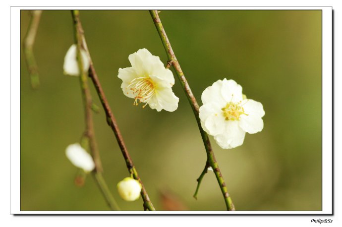 西溪且留下——时隔九年的转变